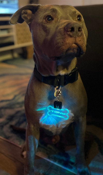 Personalized LED Dog Tag/LED Changes up to 7 Colors/ Rechargeable USB Cord Included!